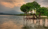 Samples of India's only active mud volcano in Andaman date back 23 million years: GSI