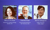 Nobel Prize 2025: A breakthrough in immune system research