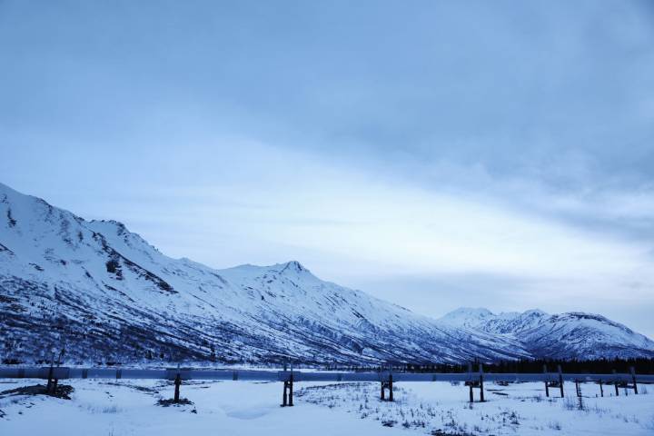 Senate votes to vacate Biden rule on Alaska petroleum reserve