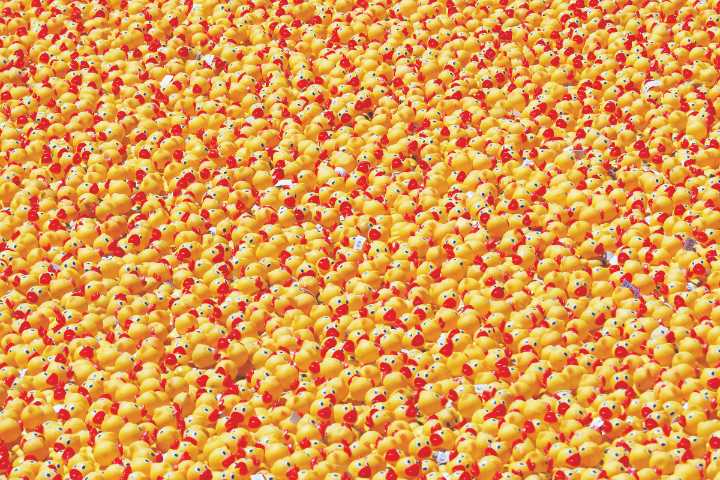 The UK's weirdest new trend? Rubber ducks are everywhere