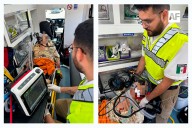 Paramédicos de la UEPC estabilizan a adulto mayor tras probable Evento Vascular Cerebral en Colima