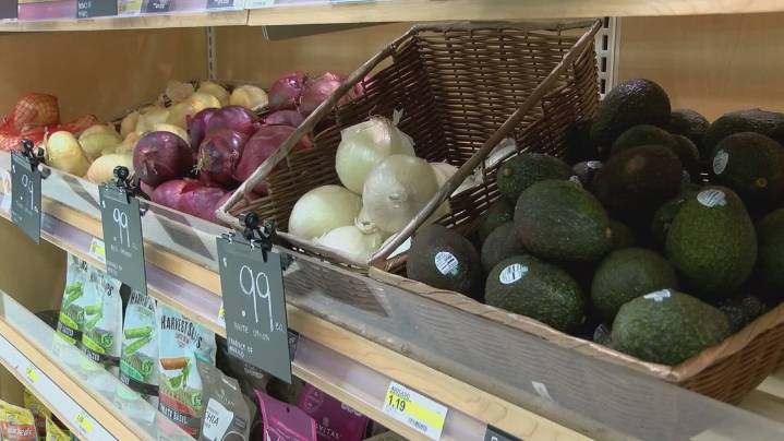 Gov. Bill Lee warns Tennessee SNAP recipients of possible lapse beginning in November