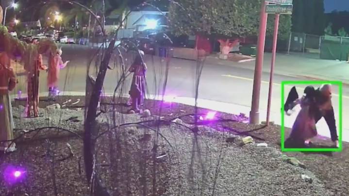 Thieves, including kids, caught on camera stealing Halloween props from Spring Valley yard