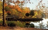 Yes, Texas Has a Real Fall. You Just Need to Work a Little Harder to Find It.