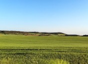 Crecer juntos: el valor del cooperativismo agroalimentario en Aragón