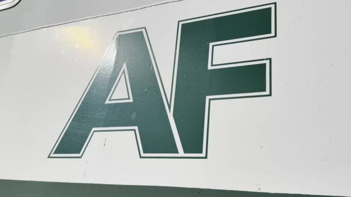 Mackinac Island horses