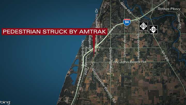 Amtrak train halts in Stevensville after striking pedestrian