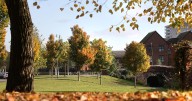 The exact dates when autumn colours are at their best in Greater Manchester
