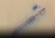Chilling moment crocodile swims through river with woman between its teeth after beast snatched her off the bank