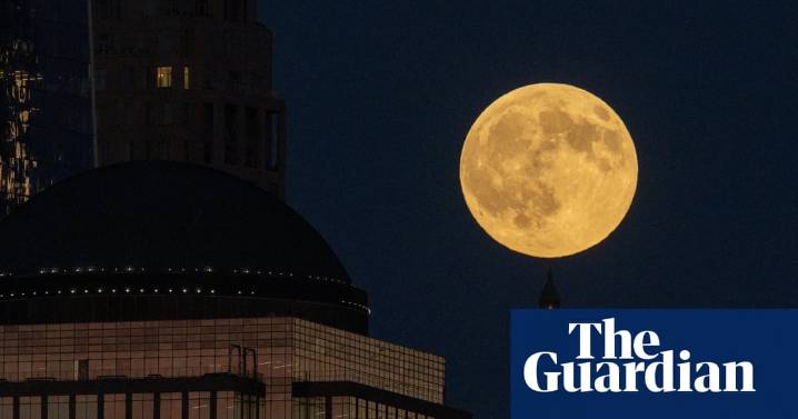 Supermoon on the horizon: how Australians can experience the ‘harvest moon’