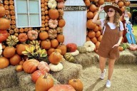 Dewberry Farms bringing fall fun to the ...