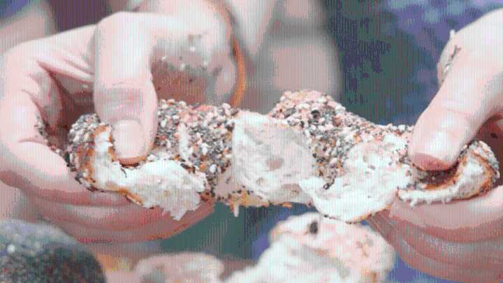 PopUp Bagels opens in Cambridge’s Harvard Square