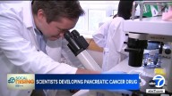 Local nonprofit Hirshberg Foundation's seed grants are fueling pancreatic cancer research at UCLA