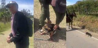 SALVAJE AGRESIÓN ANIMAL EN BOYACÁ: JINETE ENLAZÓ A UN PERRO Y LO ARRASTRÓ CAUSÁNDOLE GRAVES HERIDAS…