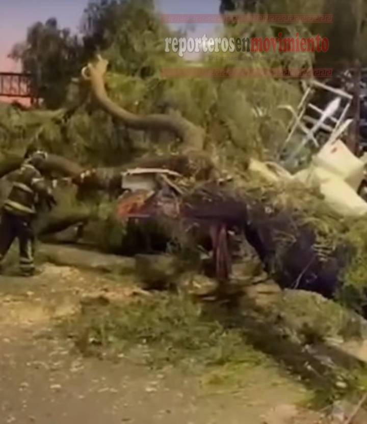 TRÁILER CARGADO DE MOTOCICLETAS CHOCÓ Y TIRÓ UN ÁRBOL EN LA CALZADA IGNACIO ZARAGOZA
