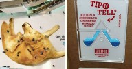 The Opposite Of Design Fails: 49 Of The Most Brilliant Design Ideas That People Have Ever Shared In This Online Group (New Pics)
