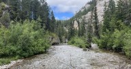Stream of consciousness: Middle Fork Judith River restoration project paying dividends