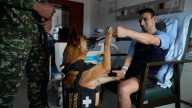 Colombian soldiers find solace in 'furry force' emotional support dogs