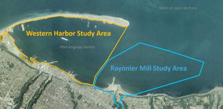 West Harbor project enters “Design the Cleanup” phase