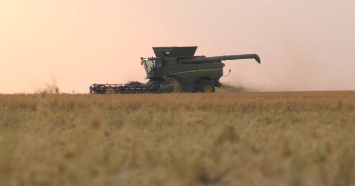 Montana Ag Network: How tariffs abroad are impacting farmers at home