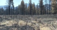 Rains may wreak havoc on burn areas left after Forsyth Fire in southern Utah