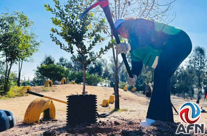 Organizan jornada de reforestación en el Parque de la Amistad