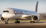 Vegetarian passenger dies after 'eat around meat' advice on flight; family files lawsuit