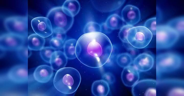 Study suggests how human cells sense temperature