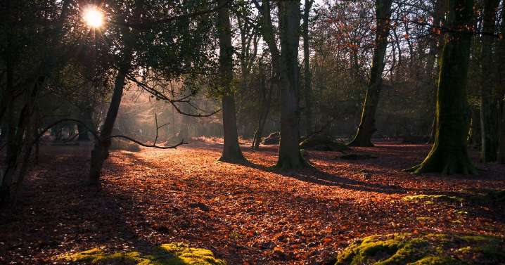 Two people found dead at cider festival in national park