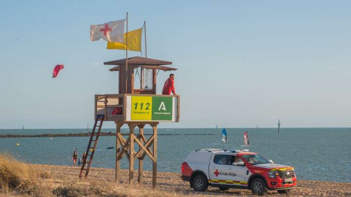 Amanecer inusual en una playa de Algeciras: cientos de peces muertos cubren la playa del Rinconcillo