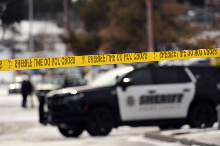 Arvada driver in fatal hit-and-run charged with abusing puppies