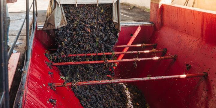 La cadena del vino suma eficiencia: traslados internos sin certificados en papel