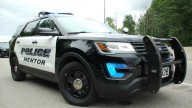 3 dogs euthanized in Lake County following Mentor dog attack