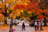 Kids can pick out free Halloween costumes at Midland Mall this Friday