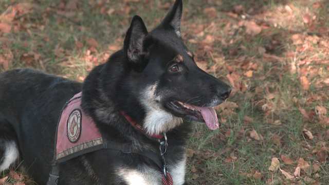 Volunteer and dog find 2-year-old girl who was missing for hours in New Hampshire town