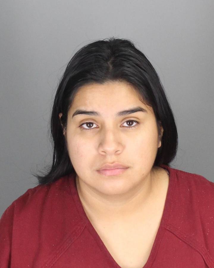 Woman accused of stealing thousands of dollars from prospective Pontiac homebuyers released from jail