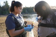Indigenous intern program highlighted as 'success'