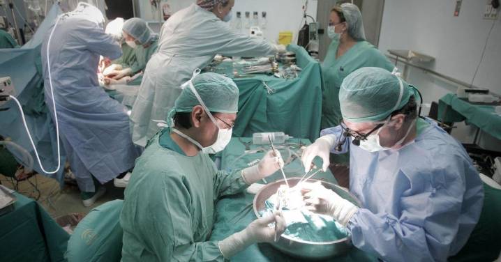 La Cámara de Cuentas avisa del "déficit" de coordinadores de trasplantes en Andalucía