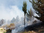 CAR advierte sobre riesgo de incendios forestales y pide evitar quemas en Cundinamarca