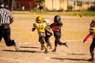 Armadillos recibe a Águilas de PN
