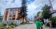 Las 11 palmas retiradas en el barrio Granada presentaban deterioro y riesgo de caída