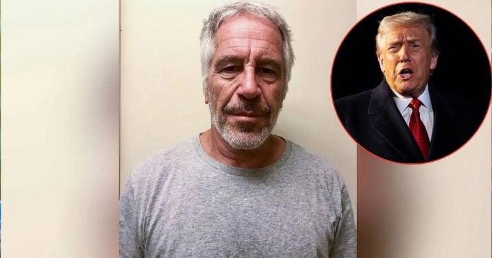 Epstein's 'Soiled' Himself Behind Bars in Final Days Behind Bars