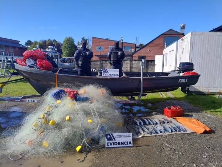 Autoridad Marítima detecta más de 25 kilos de salmón extraído ilegalmente en el lago Llanquihue