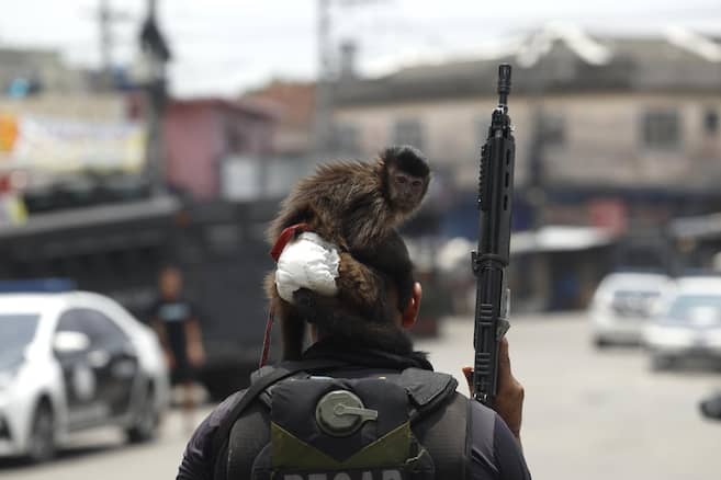Escenas de guerra: así fue la operación policial en Río de Janeiro que dejó 64 muertos