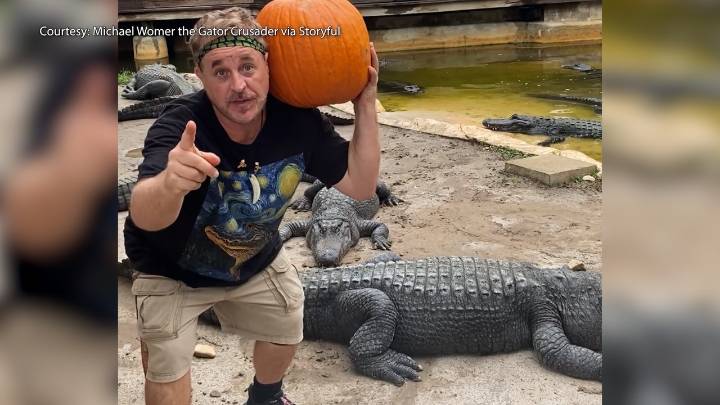 Orlando 'Gator Crusader' celebrates Halloween with pumpkin