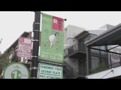 Sacramento considers new entertainment zones allowing public drinking downtown