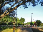 Festival Musical con Causa llenará de solidaridad el Parque de la Navidad