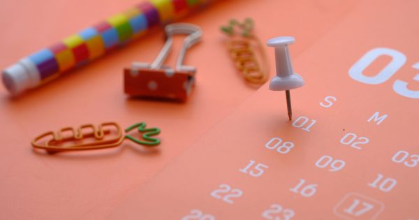 Día Mundial de los Animales: por qué se celebra el sábado 4 de octubre