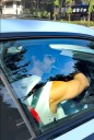 Shahid Kapoor cruises in his Rs 1.08 crore BMW M2