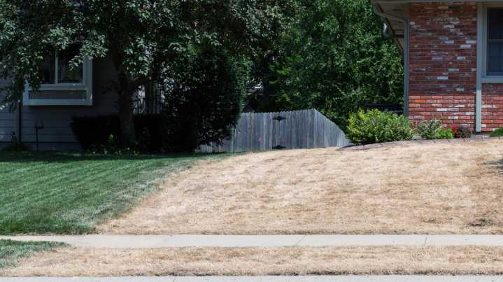 How To Change Your Grass Without Removing It